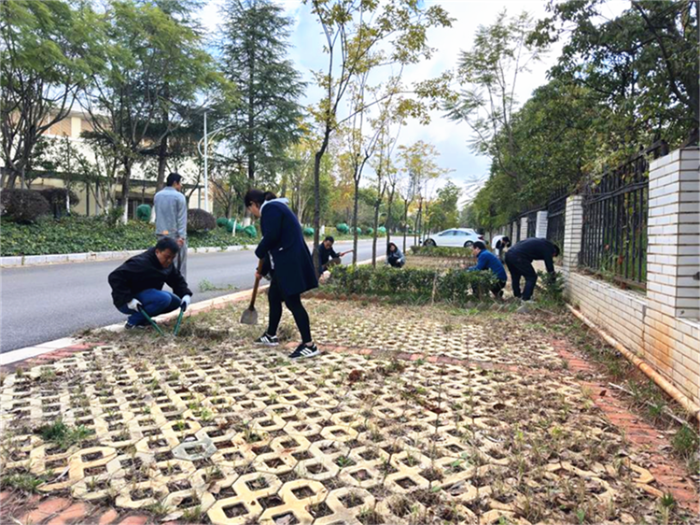 123ag真人1-2_副本